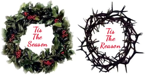 Tis The Reason